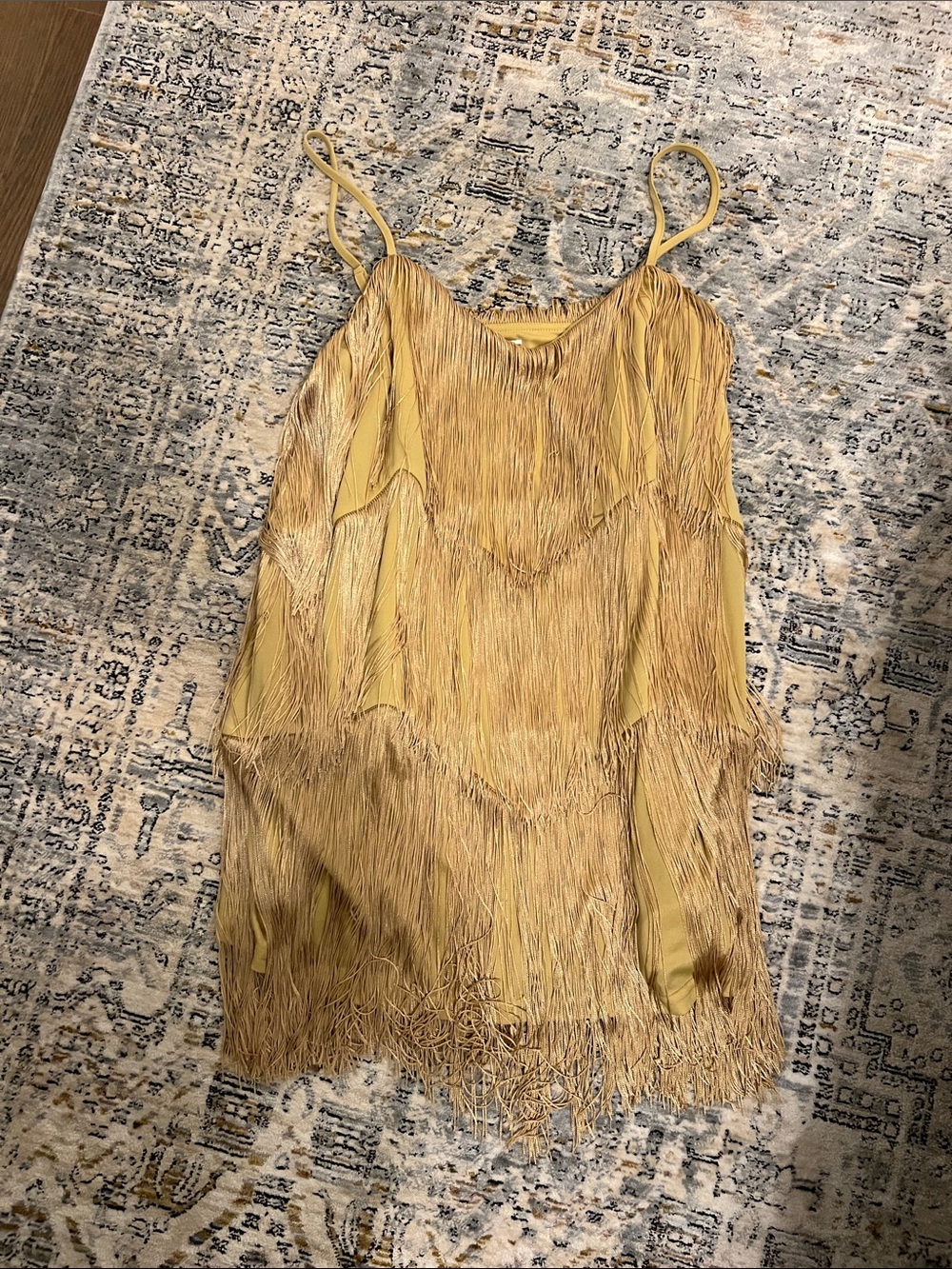 Vici Gold Fringe Camisole Dress